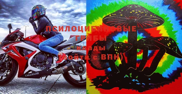 тгк Арсеньев